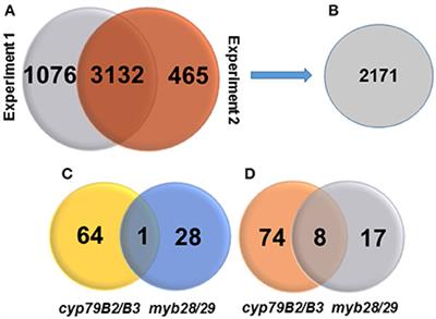 Membrane Proteomics of Arabidopsis Glucosinolate Mutants cyp79B2/B3 and myb28/29